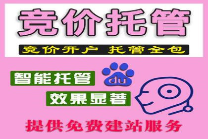 案例解析：揭秘高效竞价推广技巧